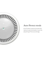 Molekule Air Mini + with Peco-hepa Tri-Power Filter