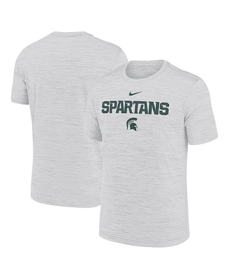 Nike Men's Ash Michigan State Spartans 2025 Sideline Velocity Performance T-Shirt