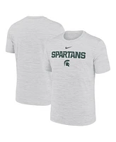 Nike Men's Ash Michigan State Spartans 2025 Sideline Velocity Performance T-Shirt