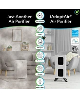 Air Oasis iAdaptAir 2.0 Medium – 2,650 Sq Ft Coverage, 5-in-1 Purification, With 353 Cfm