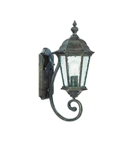 Wall Mounted One Light Carousel Lantern for Indoor and Outdoor Use