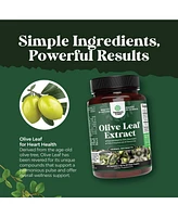 Olive Leaf Extract Capsules | High Strength Antioxidant Supplement | Pure Olive Leaf with 20% Oleuropein for Heart Health | 60ct