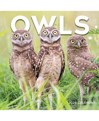 2026 Owls Wall Calendar