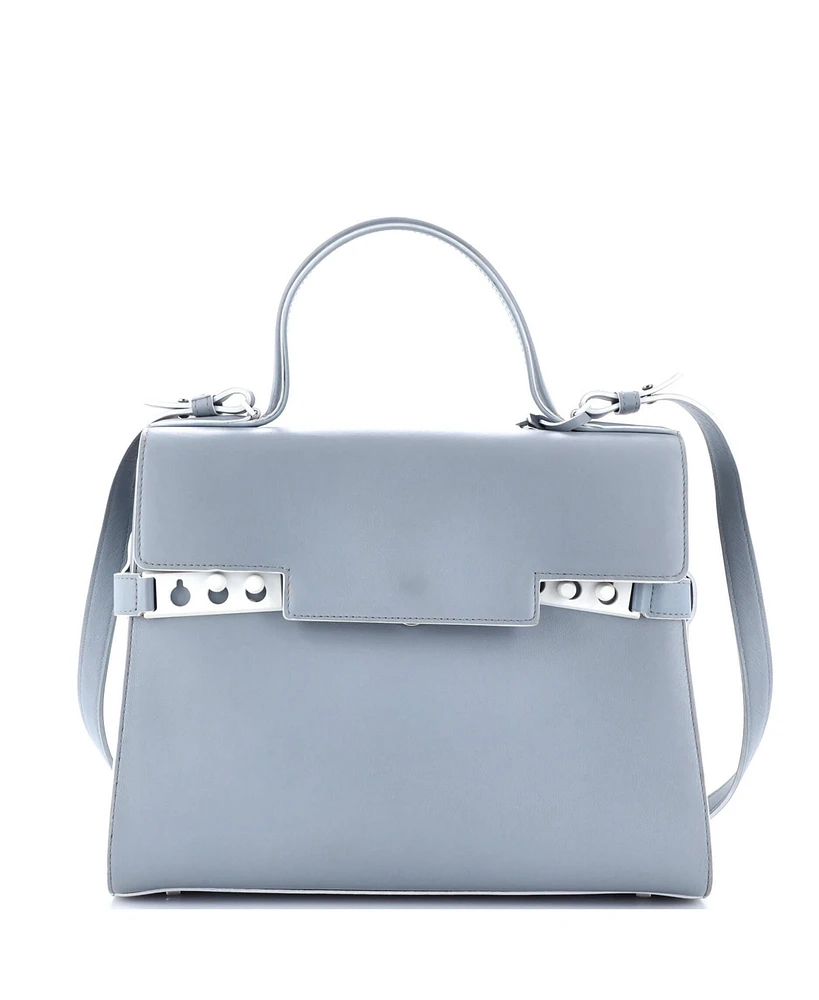 Pre-Owned Delvaux Gm Tempete Top Handle Bag Leather