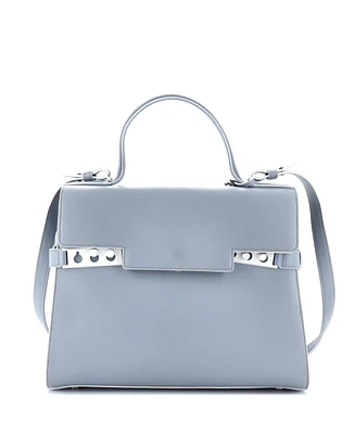 Pre-Owned Delvaux Gm Tempete Top Handle Bag Leather