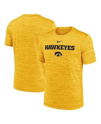 Nike Men's Gold Iowa Hawkeyes 2025 Sideline Velocity Performance T-Shirt