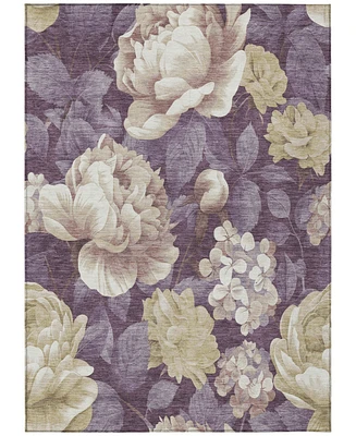 Addison Chantille Machine Washable ACN1561 5'x7'6" Area Rug