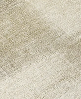 Addison Chantille Machine Washable ACN1290 10'x14' Area Rug