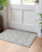 Addison Chantille ACN1456 1'8"x2'6" Area Rug