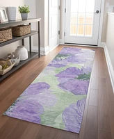 Addison Chantille Machine Washable ACN1554 2'3"x7'6" Runner Area Rug