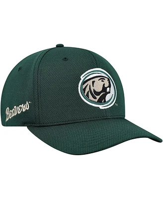 Top of the World Men's Green Bemidji State Beavers Reflex Performance Flex Hat
