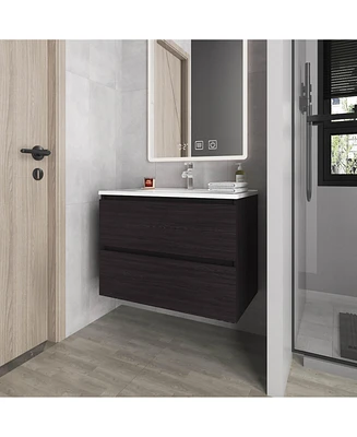 Smoot Floating Vanity with Two Drawers and Sink