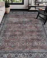 Amer Rugs Alaska Machine Washable Ala4 Rug Collection