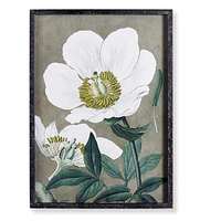 19.75" x 27.5" Stunning Poppy Floral Flower Art Prints in Fir Wood Frame w/ Glass Pane Set of 2