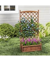 Raised Garden Bed with Diamond Lattice Trellis and Drainage Holes