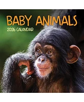 2026 Baby Animals Wall Calendar