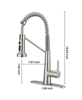 Single-Handle Pull-Down Sprayer 2 Spray High Arc Kitchen Faucet With Deck Plate