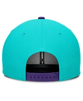 Nike Men's Teal/Purple Arizona Diamondbacks 2025 City Connect Pro Performance Snapback Hat