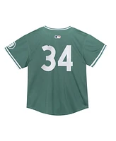 Nike Toddler David Ortiz Green Boston Red Sox 2025 City Connect Limited Retired Player Jersey