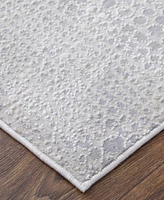Feizy Prasad 39N8F 5'x8' Area Rug
