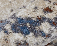 Feizy Gilmore 39MLF 5'3"x8' Area Rug