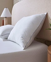 Indulgence by Isotonic Down Alternative Hybrid Pillow, Standard