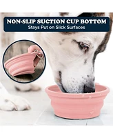 Slow-Feeder, Non-Skid, Bpa-Free Silicone Travel Dog Bowl