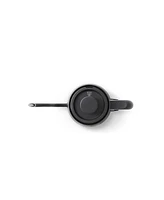 Balmuda Electric Gooseneck Kettle