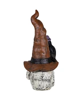 Northlight 22.75" Skull in Witch's Hat with Crow Halloween Decoration