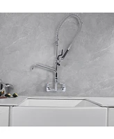 Greenspring Commercial Restaurant Pull Down 2-Handle Wall Mount Pre-Rinse Spray Utility Kitchen Faucet in Polished Chrome