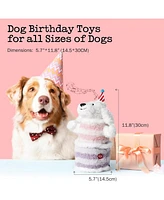 Fuzzwoof Birthday Cake Dog Toy, Dancing with Echo Function Feature, Singing Birthday Songs, Interactive Dog Toy, Birthday Gift for Dogs.