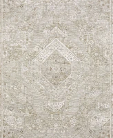 Oriental Weavers Avalon AVA06 3'2"x5' Area Rug