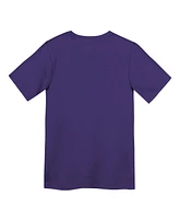 Nike Preschool Purple Minnesota Vikings Primary Logo Legend Performance T-Shirt