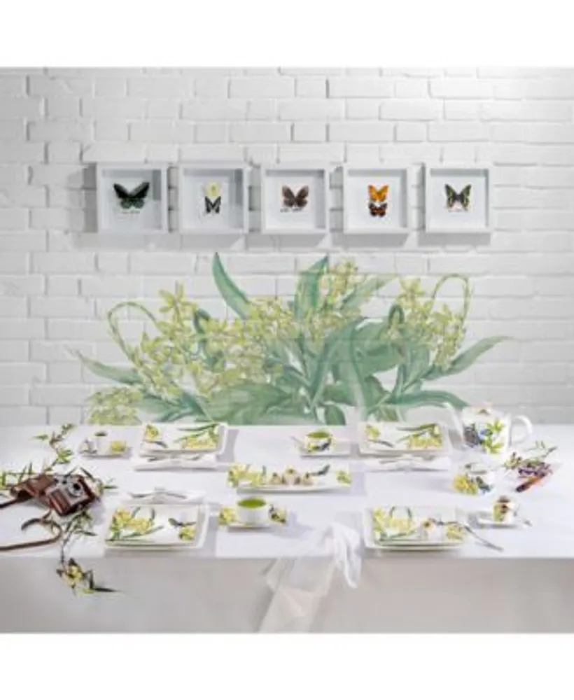 Villeroy Boch Amazonia Collection