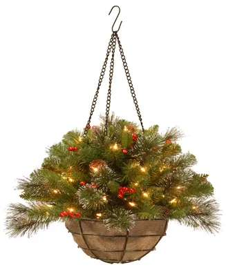 National Tree Company 20" Crestwood Spruce Silver Bristle Hanging Basket With Cones, Berries, Glitter & 50 Battery-Operated Led Lights
