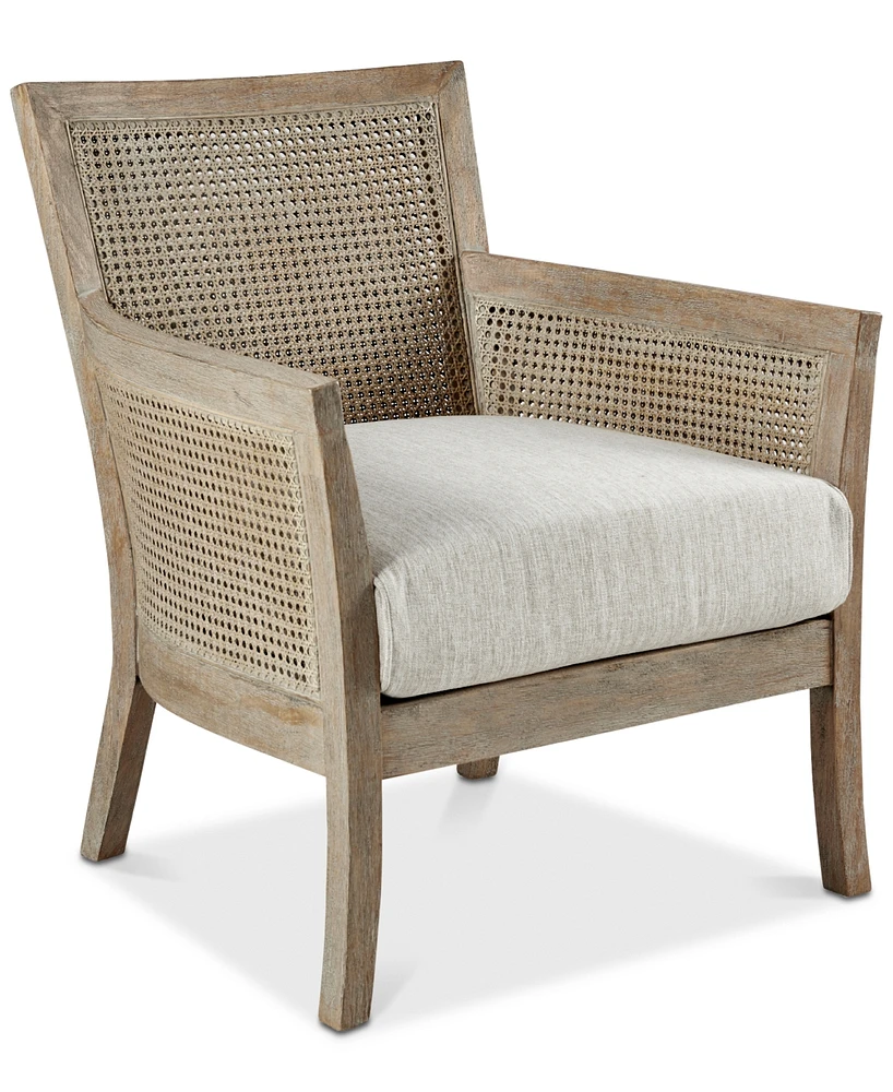 Madison Park Diedra Cane Armchair