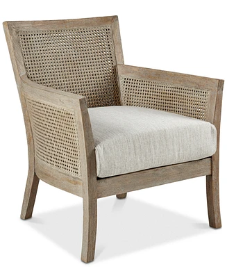 Madison Park Diedra Cane Armchair