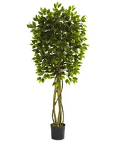 Nearly Natural 5.5' Ficus Uv-Resistant Indoor/Outdoor Tree