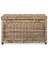 Jonathan Y Happimess Elijah 30'' Wicker Storage Trunk