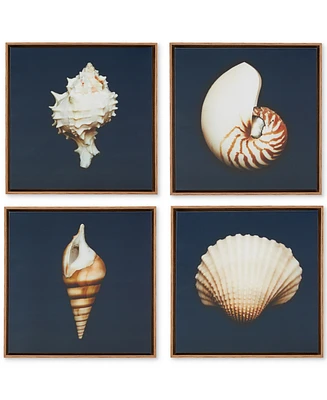 Madison Park Ocean Seashells 4-Pc. Framed Canvas Print Set