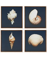 Madison Park Ocean Seashells 4-Pc. Framed Canvas Print Set