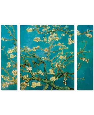 Vincent van Gogh 'Almond Branches In Bloom' Multi Panel Art Set Large