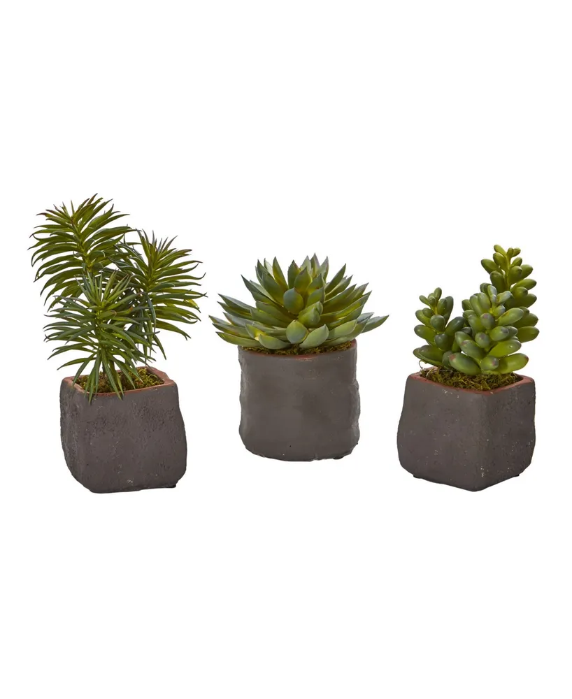 Nearly Natural Trio of Artificial Succulent Plants, Set of 3