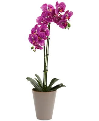 Nearly Natural 24" Speckled Phalaenopsis Orchid Artificial Arrangement with Vase