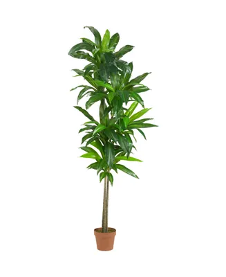 Nearly Natural 6' Dracaena Real Touch Artificial Plant