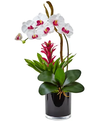 Nearly Natural Orchid & Bromeliad Artificial Arrangement in Glossy Black Cylinder Vase