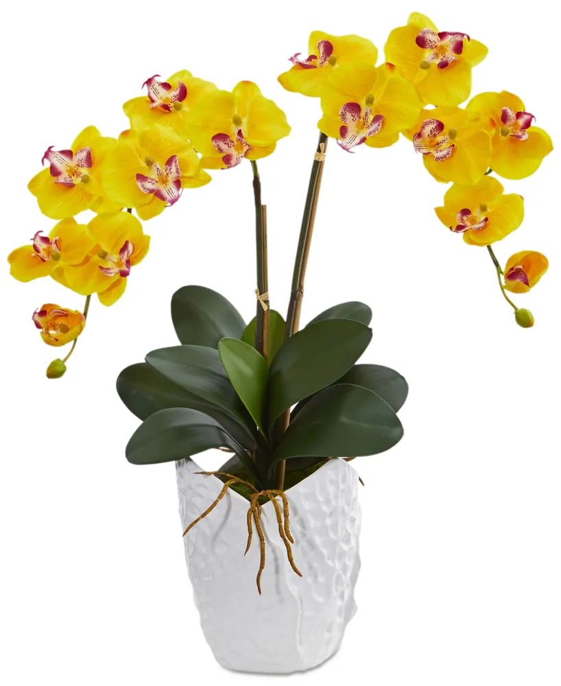 Nearly Natural Double Phalaenopsis Orchid Artificial Arrangement in White Ceramic Vase