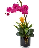 Nearly Natural Orchid & Bromeliad Artificial Arrangement in Glossy Black Cylinder Vase