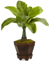 Nearly Natural 3-Pc. 16.5" Assorted Mini Palm Artificial Tree Set in Planters