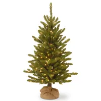 National Tree Company 4' Kensington Burlap Tree with 150 Clear Lights